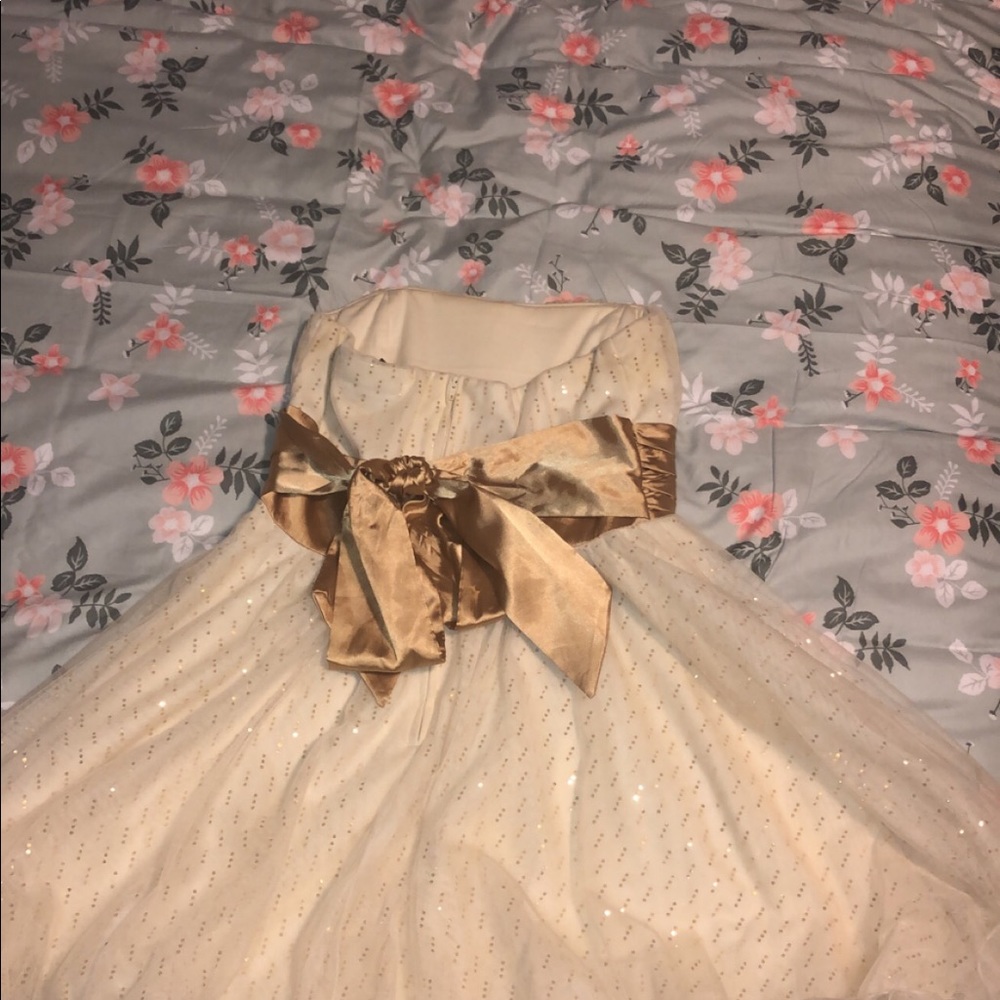 Winter ball/ homecoming dress
